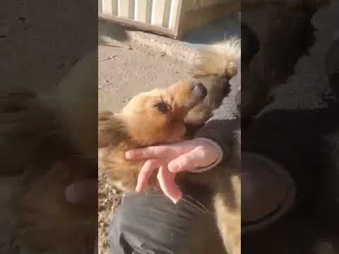 Salma en vidéo 3