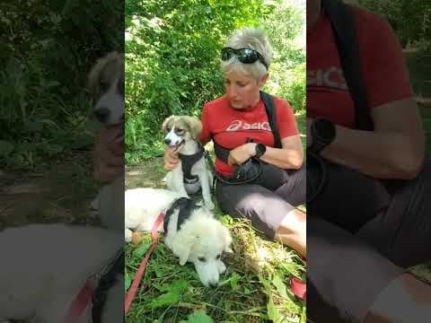 Laryea en vidéo 1