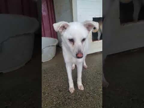 Fleur en vidéo 1