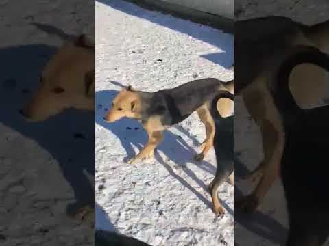 Najua en vidéo 1
