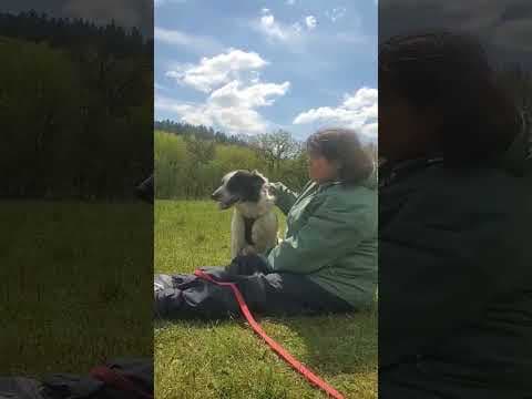 Iskaya en vidéo 2