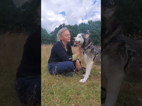 Kira2 en vidéo 1