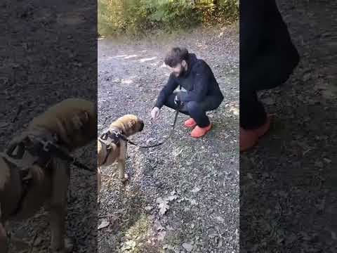 Gengis en vidéo 5