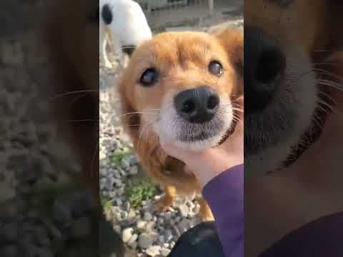 Cannelle en vidéo 2