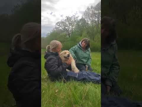Sable en vidéo 3