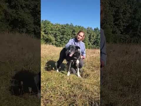 Grisette en vidéo 5