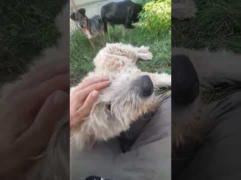 Darren en vidéo 1