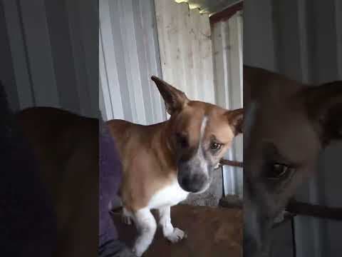 Babka en vidéo 4