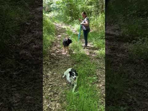 Taco en vidéo 5