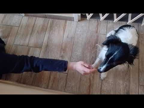 Origami en vidéo 3
