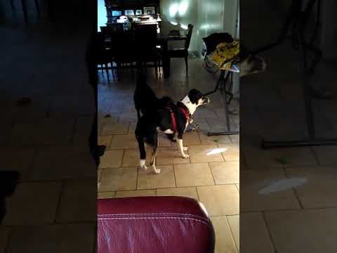Salome en vidéo 6