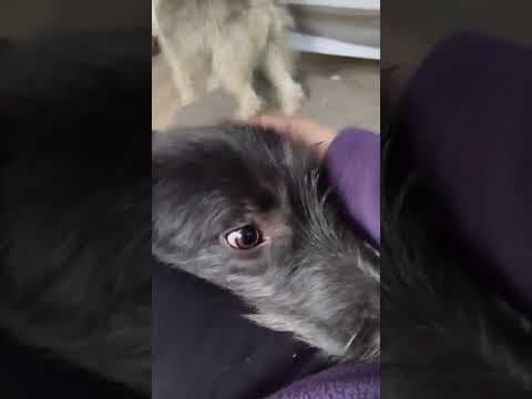 Tinou en vidéo 4
