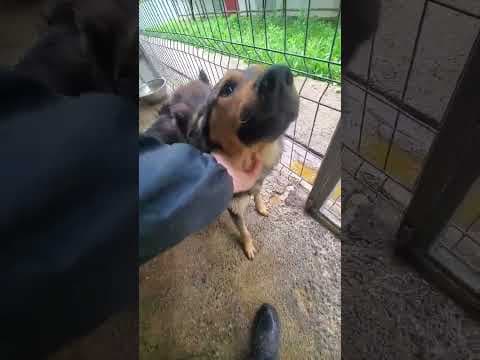 Banco en vidéo 1