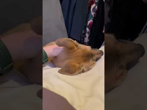 Ayvi en vidéo 11