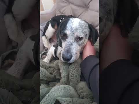 Copernica en vidéo 8