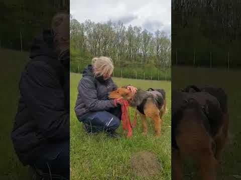Namaari en vidéo 3
