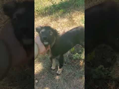 Vadim en vidéo 1
