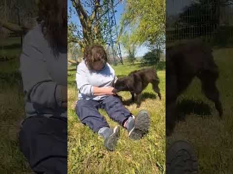 Friday en vidéo 3