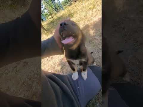 Svetlina en vidéo 2