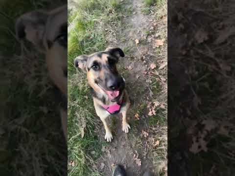 Lola en vidéo 11