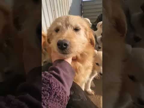 Umi en vidéo 1