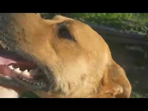 Zeus en vidéo 9