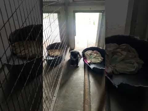 Bulle en vidéo 2