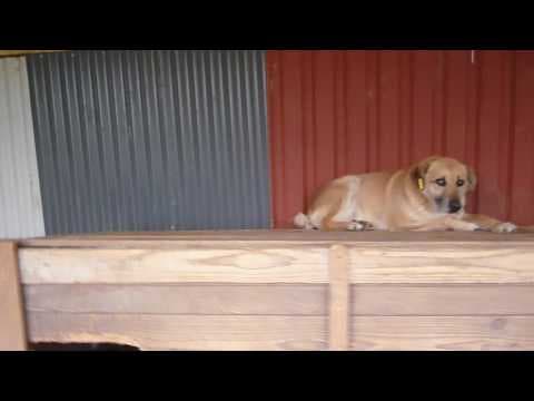 Ebene en vidéo 1