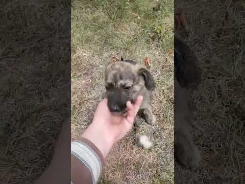 Lunaya en vidéo 1
