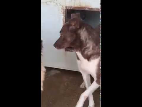 Eragon en vidéo 5