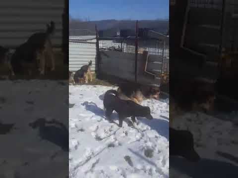 Narco en vidéo 9