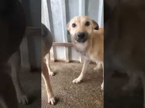 Thalie en vidéo 2