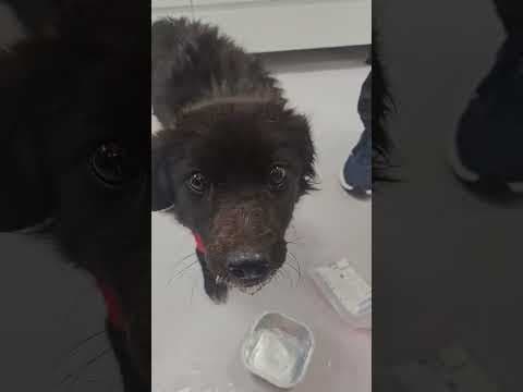 Friday en vidéo 1