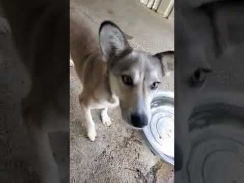 Naia en vidéo 1