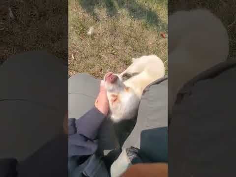 Serenaïs en vidéo 2