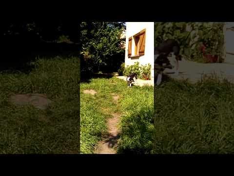 Salome en vidéo 3