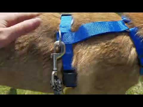 Beni en vidéo 10