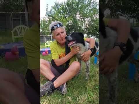 Cocky en vidéo 4