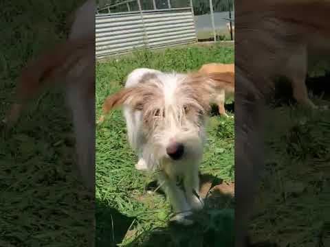 Shyley en vidéo 1
