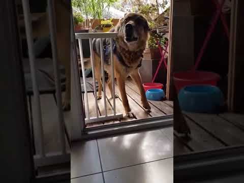 Enee en vidéo 8