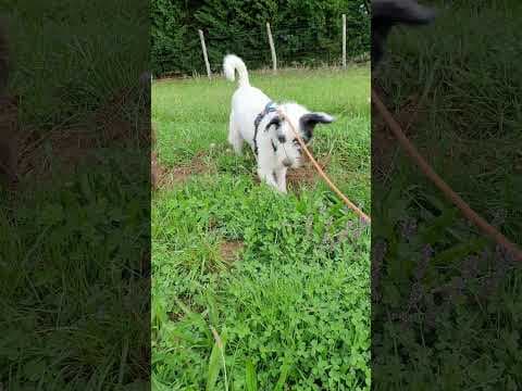 Aventura en vidéo 5