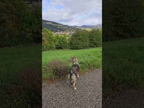 Elegance en vidéo 5