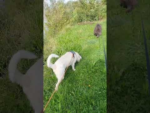 Aventura en vidéo 7