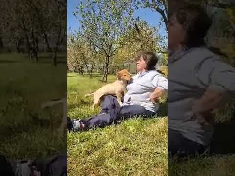 Miglou en vidéo 1