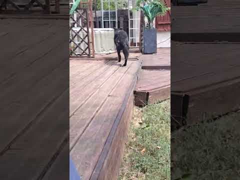 Chypre en vidéo 4