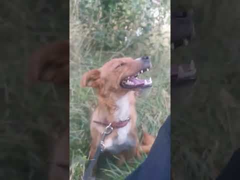 Sweet en vidéo 7