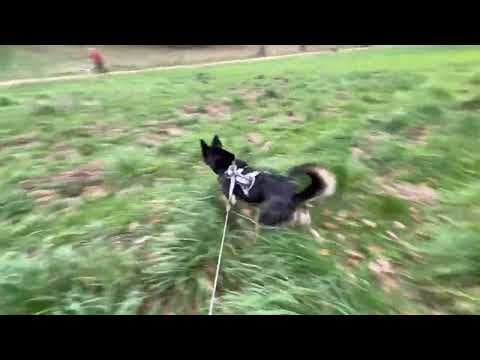 Taco en vidéo 9