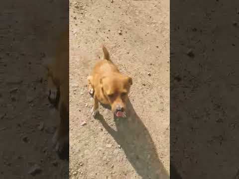 Sweet en vidéo 5
