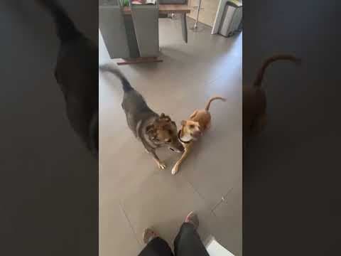 Vidock en vidéo 1