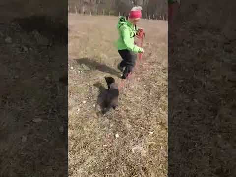 Luisa en vidéo 2